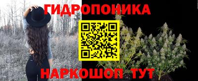 бошки Донецк