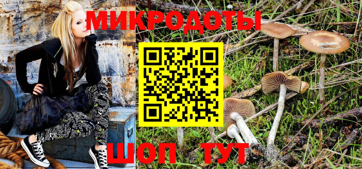 Кирово-Чепецк  Псилоцибиновые грибы Cubensis  Вход с VPN 